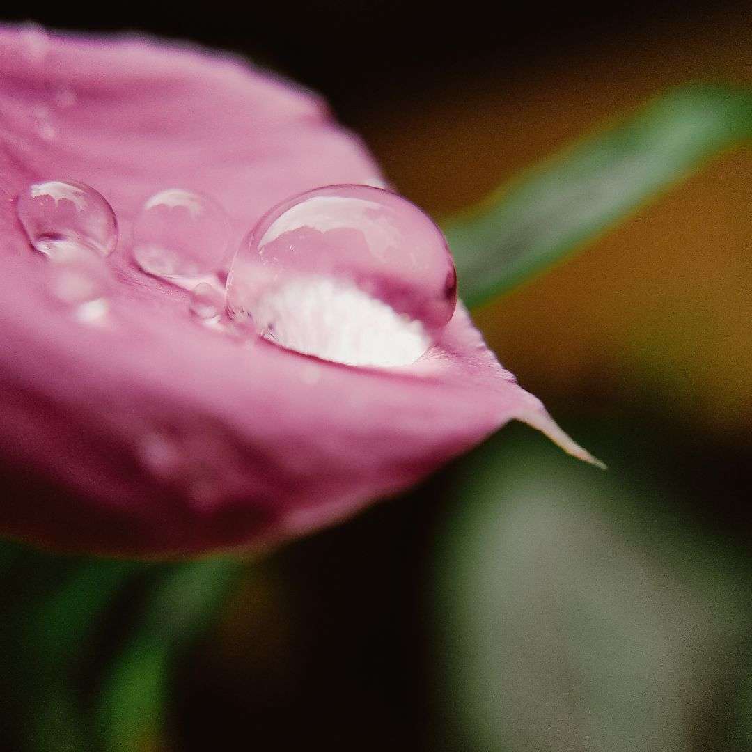 Kopie von Kopie von Gold Hell Motivation Desktop Hintergrund (Banner (Quadratisch)) (14)